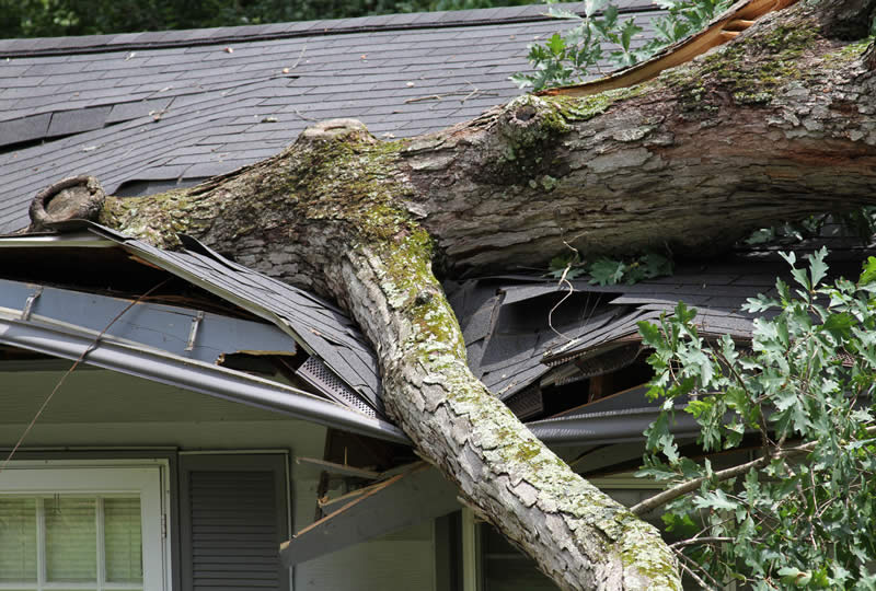 Storm Damage Restoration by Michigan Restoration Pros