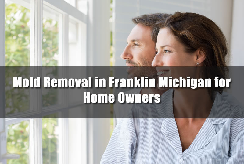Mold Removal in Franklin Michigan for Home Owners