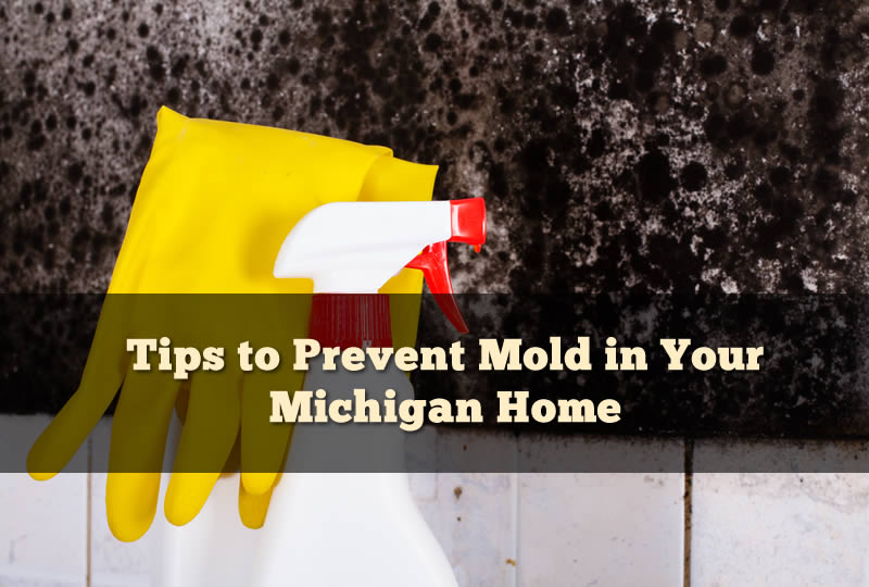 Tips to Prevent Mold in Your Michigan Home