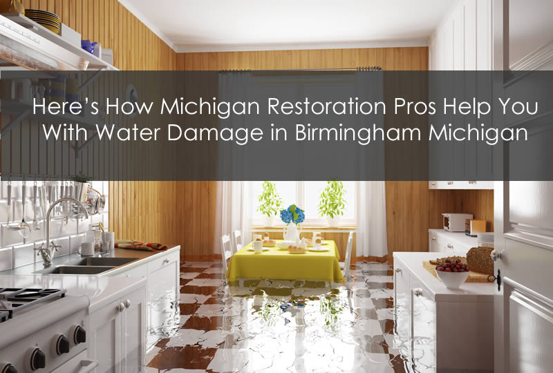 Here's How Michigan Restoration Pros Help You With Water Damage in Birmingham Michigan