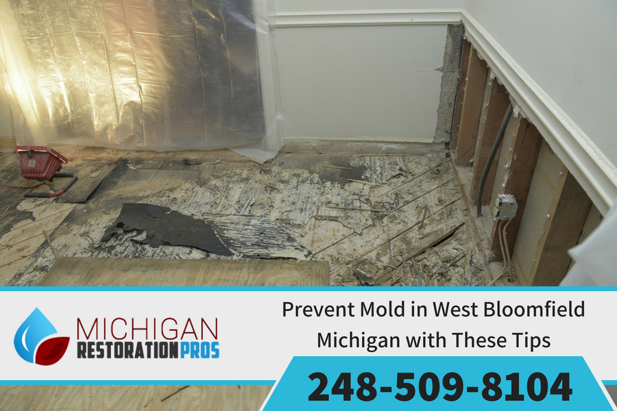 Prevent Mold in West Bloomfield Michigan with These Tips