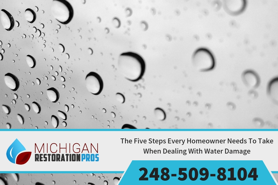 The Five Steps Every Homeowner Needs To Take When Dealing With Water Damage