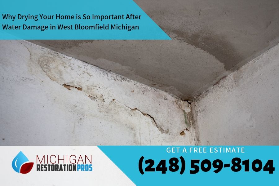 Why Drying Your Home is So Important After Water Damage in West Bloomfield Michigan