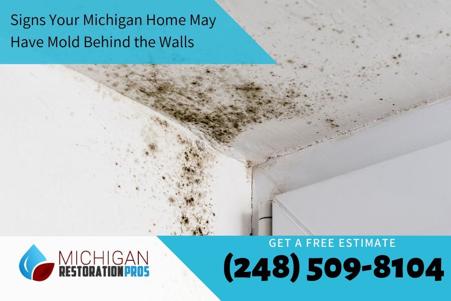 Signs Your Michigan Home May Have Mold Behind the Walls